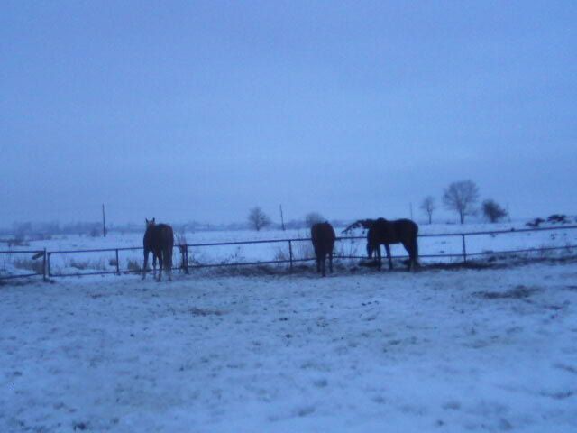 Bady, Libra a Lili.jpg